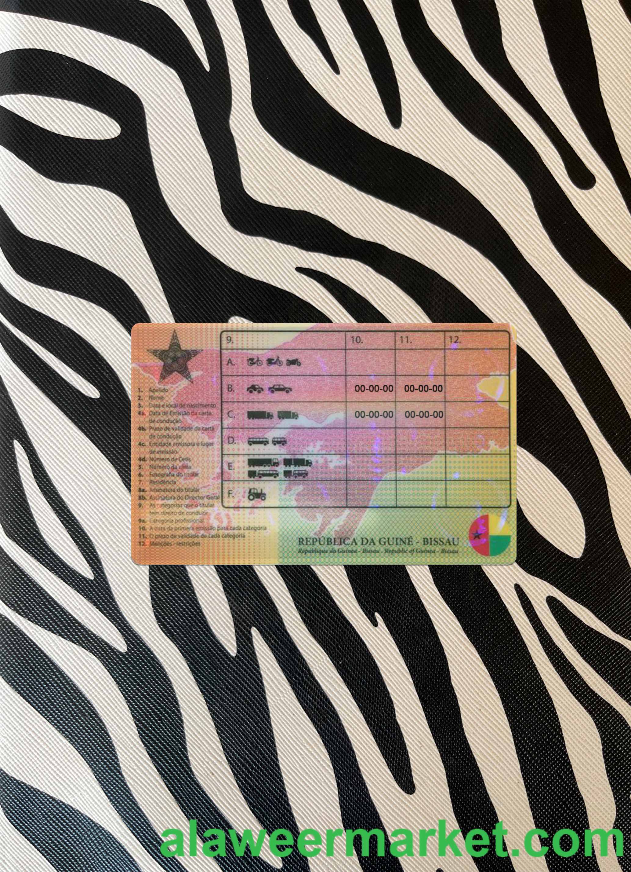 Guine-Bissau driving license photolook back